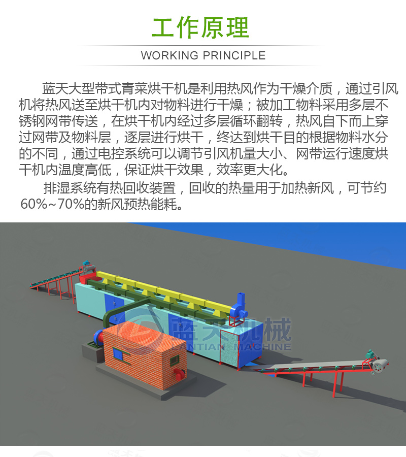帶式青菜烘干機(jī)工作原理