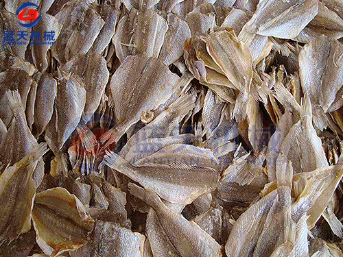 浙江魚干烘干機用戶現場